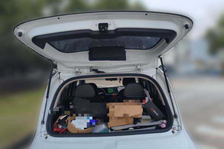 Used ORA White Cat 2020 401 km Flagship Version