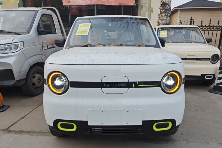 Used  Panda 2025 210 km – Yuanqi Bear
