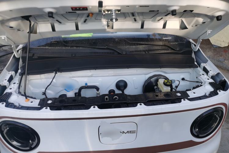 Used  Panda 2024 Panda Mini 200km Endurance Bear
