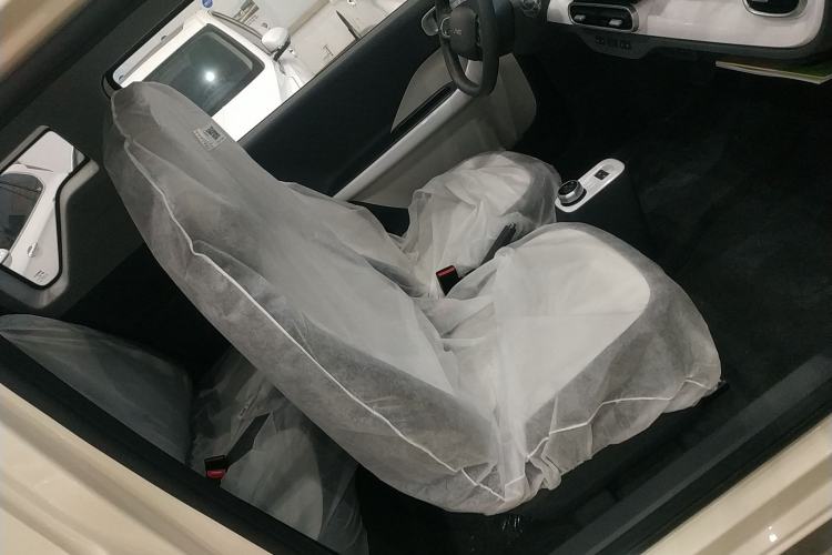 Used  Panda 2025 210 km – Yuanqi Bear
