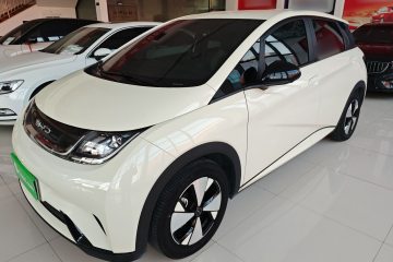 Used BYD Dolphin 2023 420 km Free Version