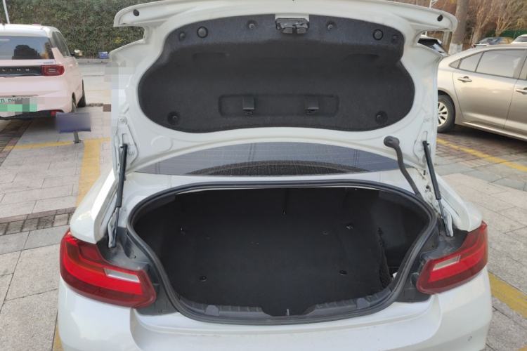 Used BMW 2 Series 2014 M235i
