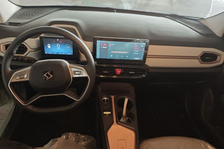 Used SOL E10X 2022 Flower Fairy Design Four-Leaf Clover