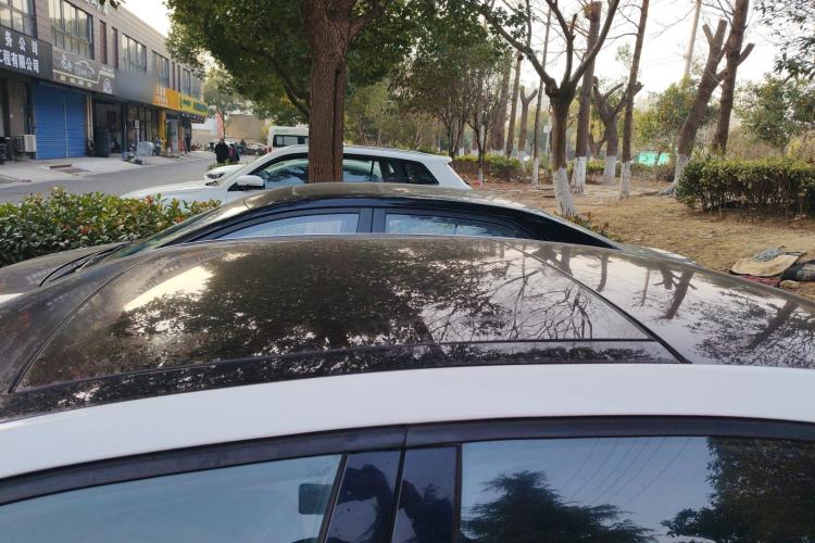 Used Skoda Octavia 2019 TSI280 DSG SmartDrive Luxury Edition China V Standard
