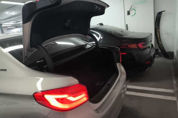 Used BMW 5 Series New Energy 2019 530Le Luxury Package