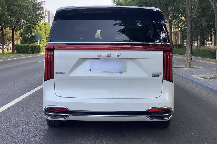 Used Wey Gaoshan 2023 Four-Wheel Drive Flagship Edition
