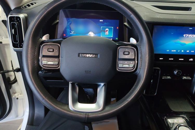 Used Haval DARGO 2022 2.0T DCT 4x4 Chinese Rural Dog Hunting Edition
