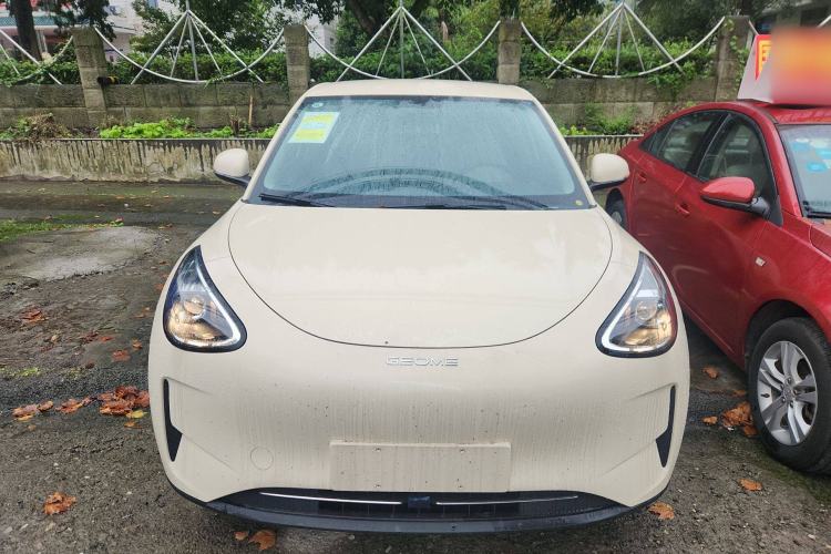 Used  Geome 2025 310km Youth Edition
