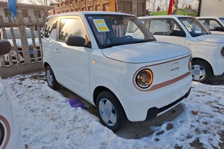 Used  Panda 2024 Panda Mini 200km Endurance Bear