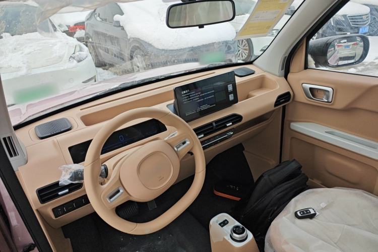 Used  Panda 2024 Panda Mini 200km Endurance Bear
