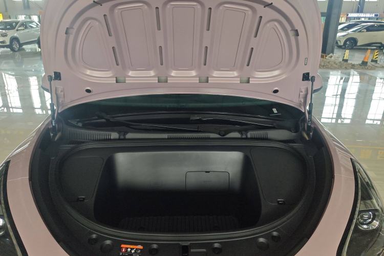 Used  Geome 2025 310km Youth Edition
