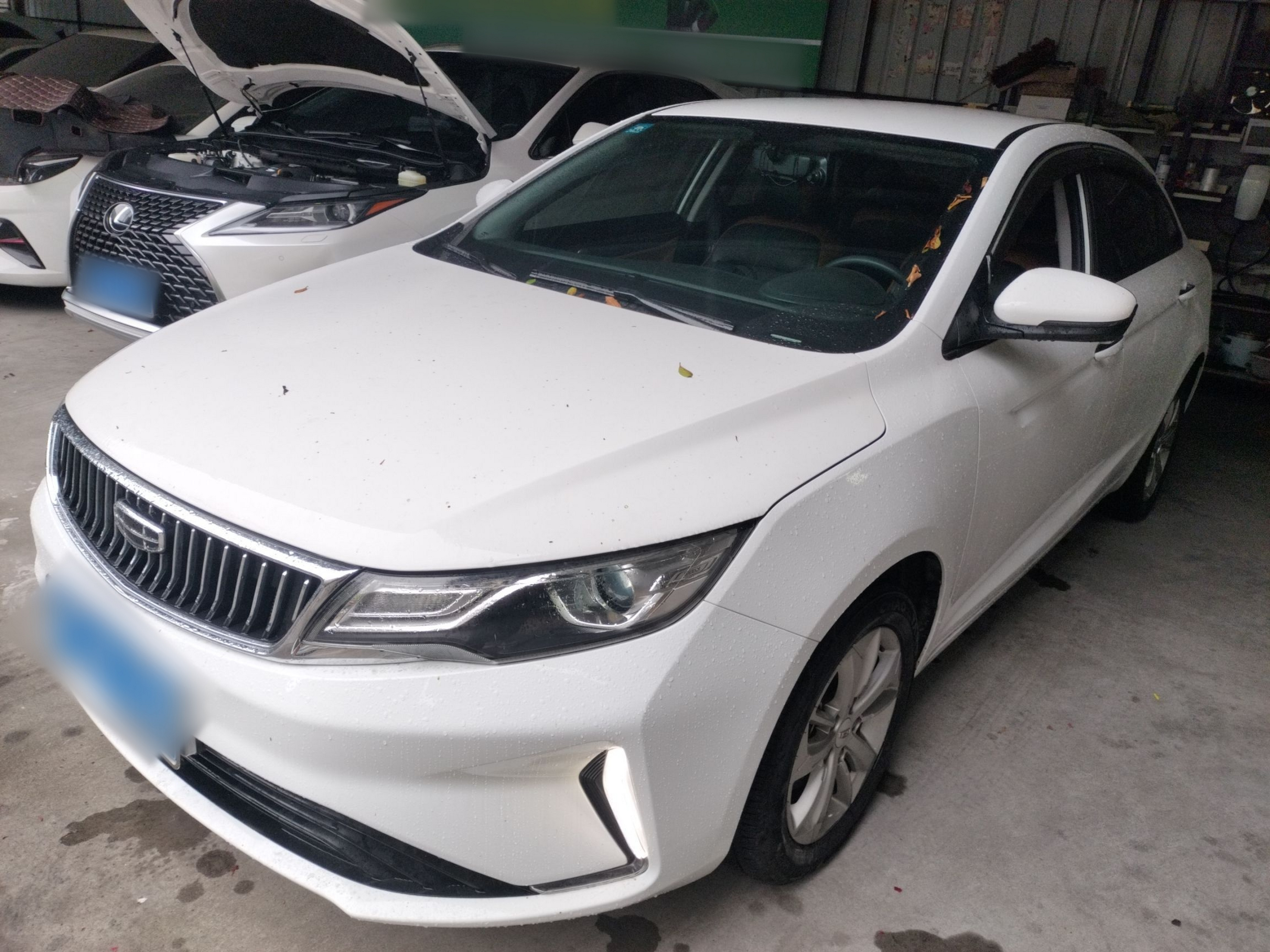 تحت مقدمة السيارة