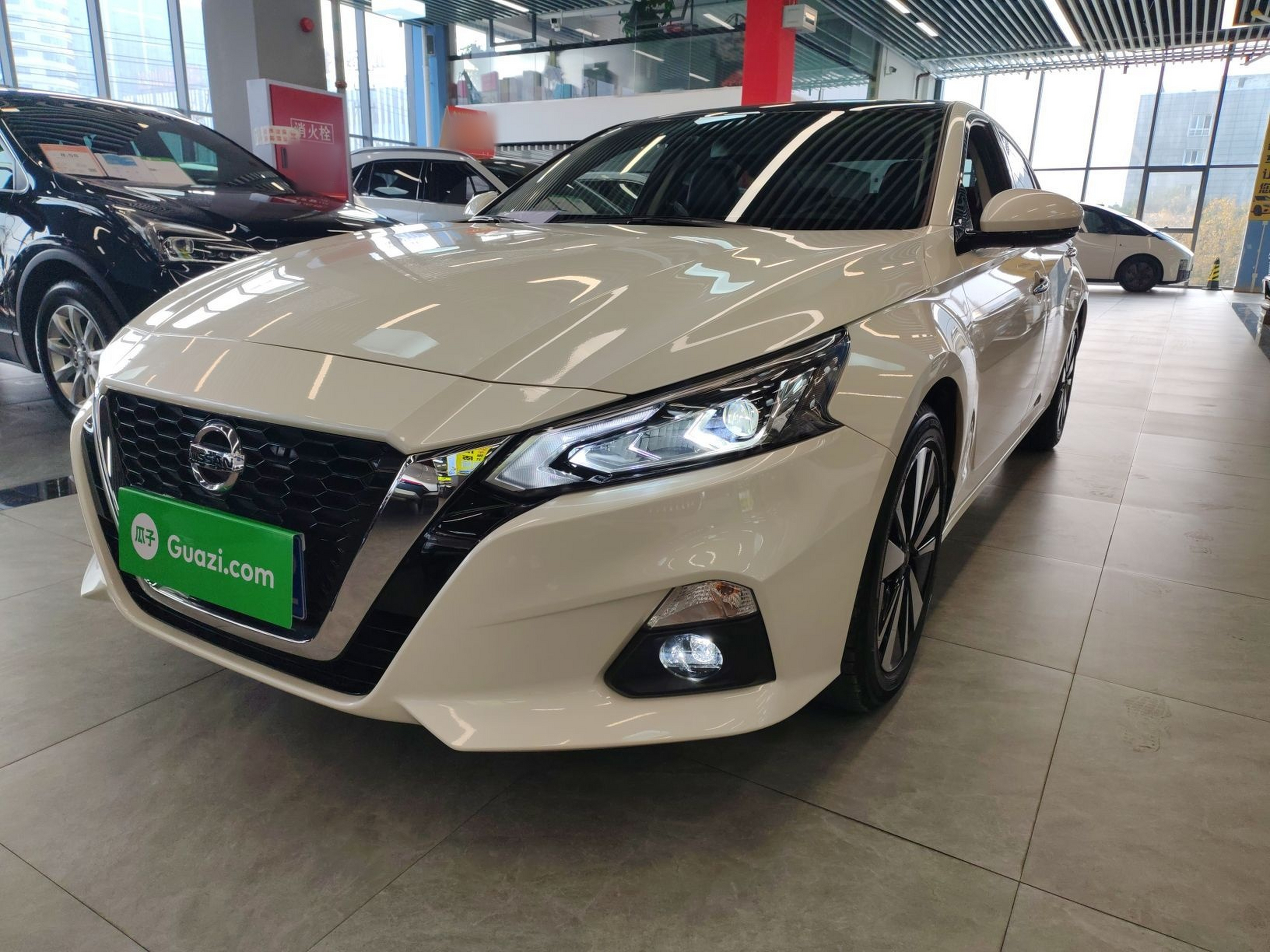 تحت مقدمة السيارة