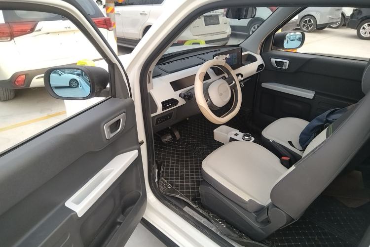 Used  Panda 2024 200km Panda Rider