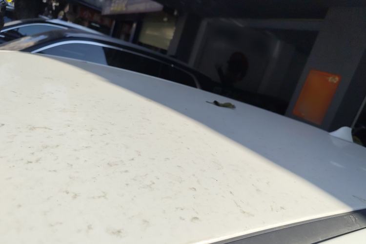 Used Nissan Qashqai 2017 2.0L CVT Elite Edition China VI Standard