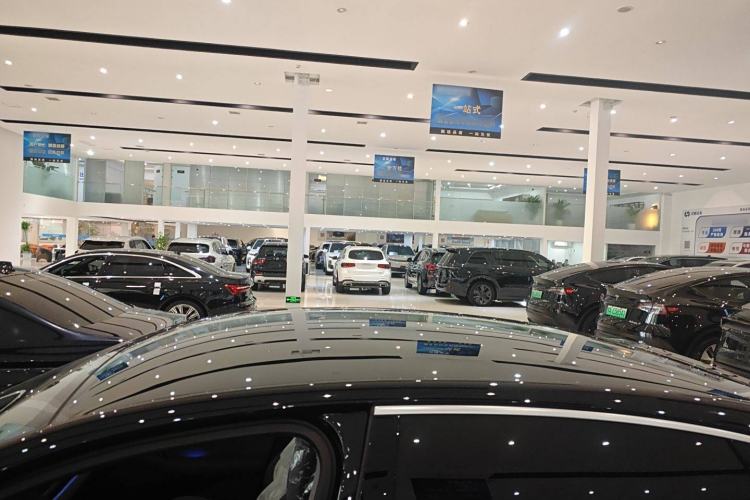 Used VOYAH PASSION 2024 PHEV Four-Wheel Drive Ultra-Long Range Flagship Model
