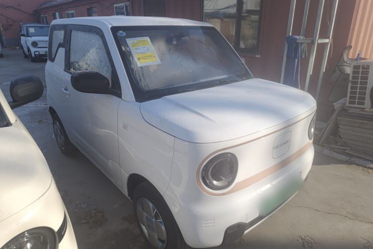 Used  Panda 2024 Panda Mini 200km Endurance Bear