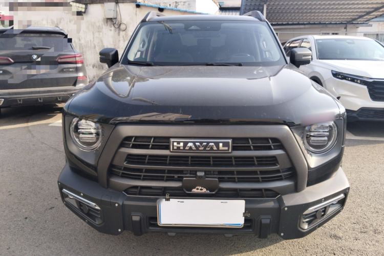 Used Haval DARGO 2024 2.0T DCT Chinese Rural Dog Edition
