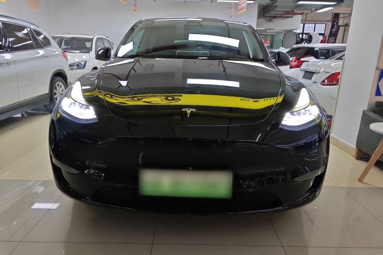 Used Tesla Model Y 2021 Standard Range Rear-Wheel Drive Version
