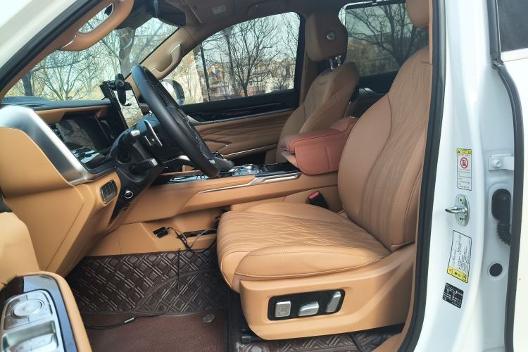 Used Tank 500 New Energy 2024 Hi4-T
