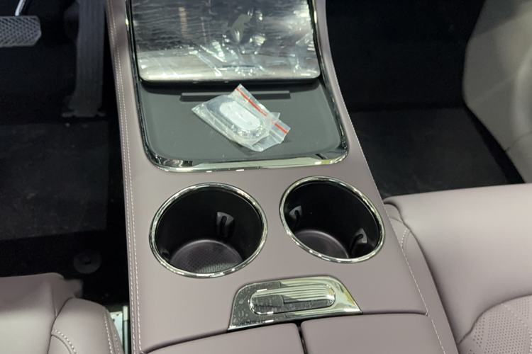 Used Leapmotor C11 2024 Range-Extended 300 Luxury Edition
