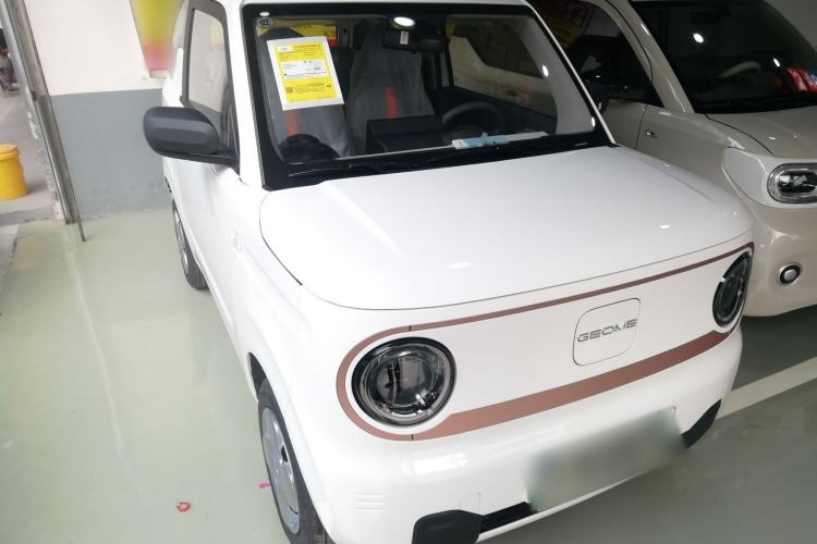 Used  Panda 2024 Panda Mini 200km Endurance Bear