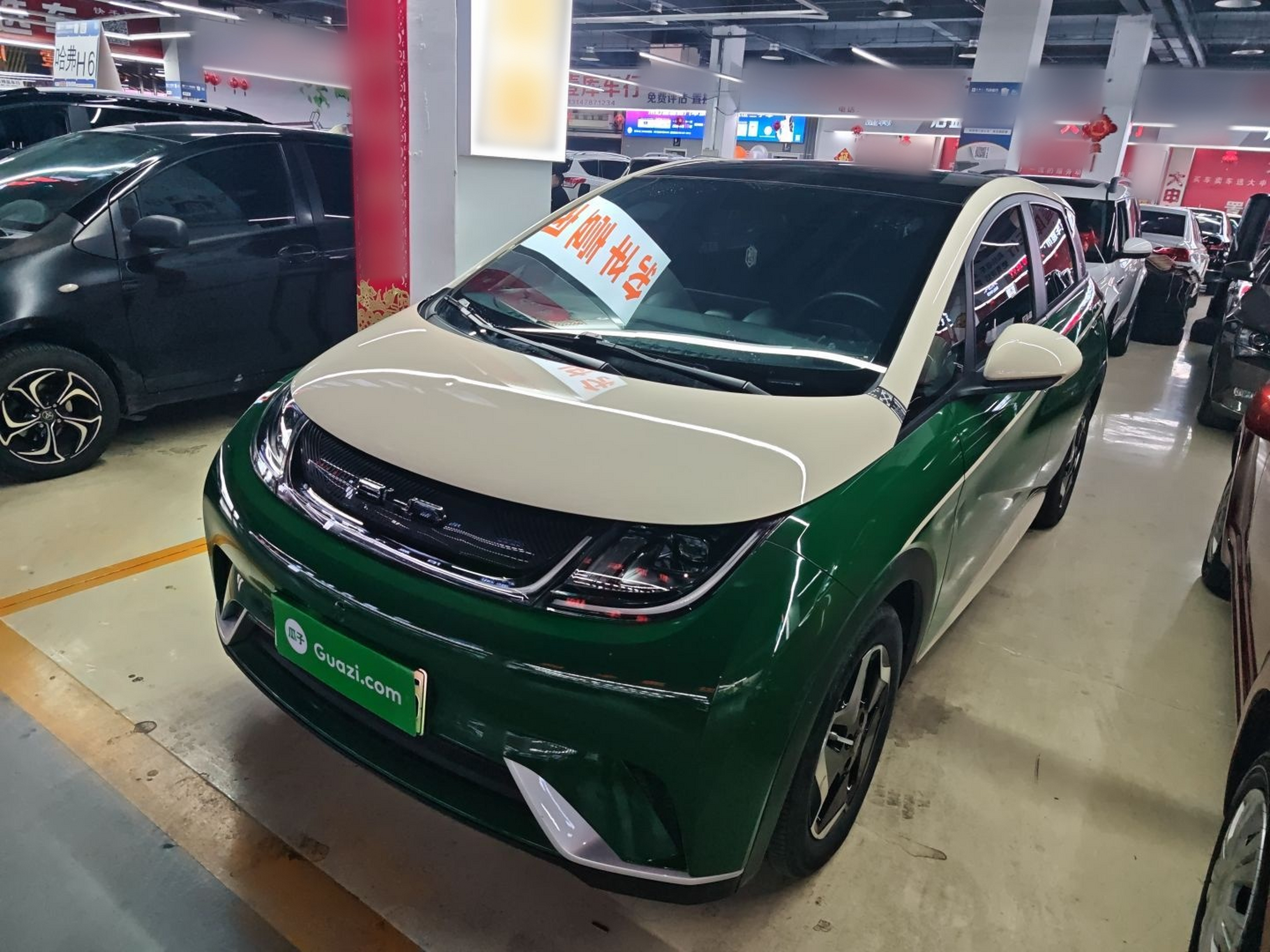 تحت مقدمة السيارة