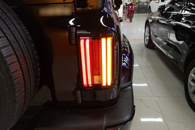 Used Tank 300 2024 2.0T Crosser
