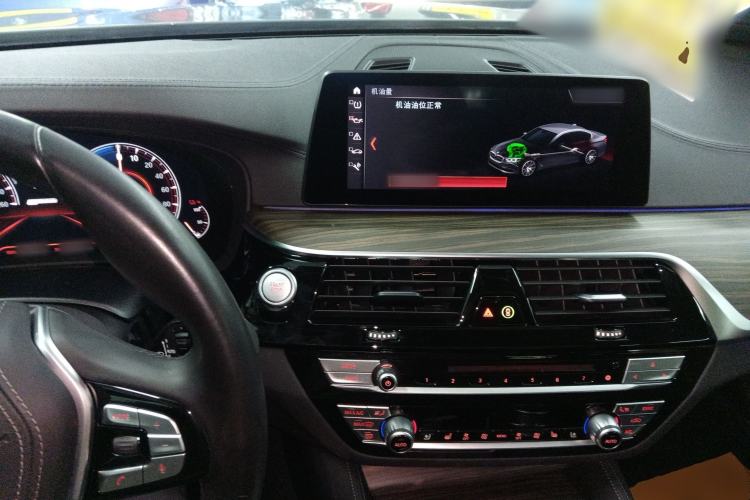 Used BMW 5 Series New Energy 2019 Updated Version 530Le Luxury Package
