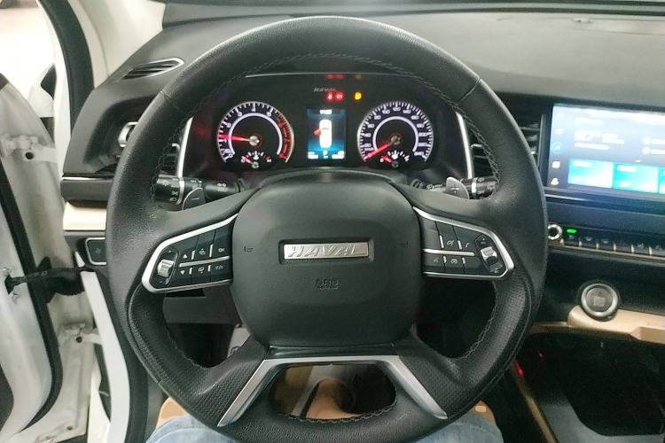 Used Haval H6 2021 1.5T Automatic Champion Edition
