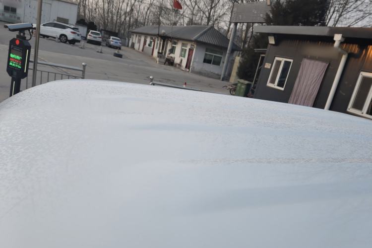 Used  Panda 2024 Panda Mini 200km Endurance Bear