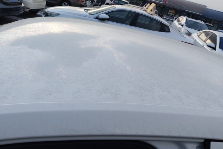 Used Volkswagen Lavida 2019 Lavida Start 1.5L Automatic Trendy Version China VI Standard