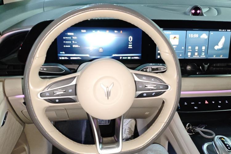 Used VOYAH Dream 2022 Low-Carbon Edition Home