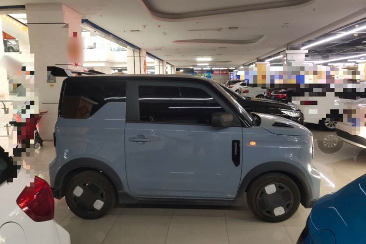 Used  Panda 2024 200km Panda Kart
