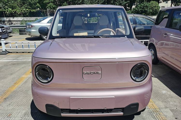 Used  Panda 2024 Panda Mini 200km Endurance Bear
