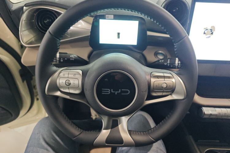 Used BYD Dolphin 2025 420km Free Edition
