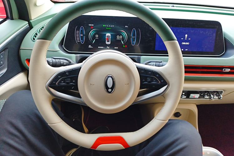 Used ORA Good Cat 2022 Morandi Edition 400km Standard Range Luxury Version Lithium Iron Phosphate
