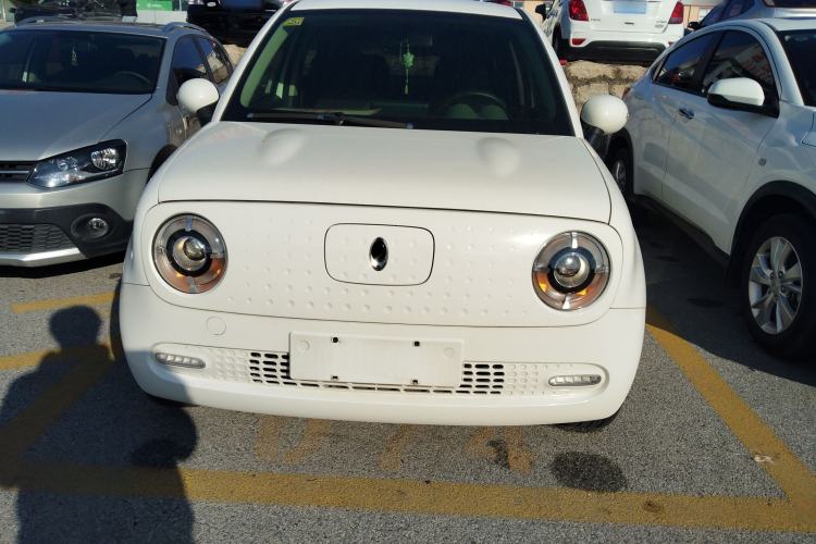 Used ORA Black Cat 2021 351 km Standard Version
