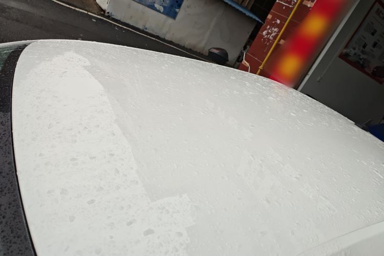 Used Volkswagen Lavida 2019 Lavida Start 1.5L Automatic Trendy Version China VI Standard