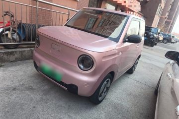 Used Geely Galaxy Panda 2023 Panda Mini New Year Edition Treasure Bear