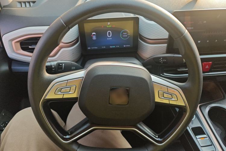 Used SOL E10X 2022 Flower Fairy Design Four-Leaf Clover