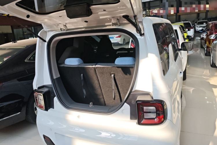 Used  Panda 2023 Panda Mini 200km Endurance Bear
