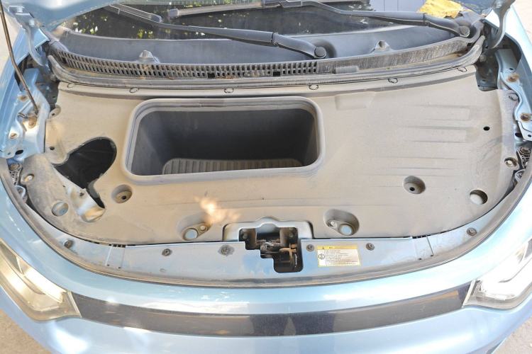 Used SOL E10X 2022 Flower Fairy Design Four-Leaf Clover
