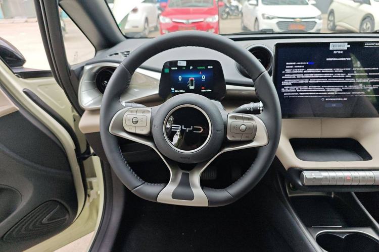 Used BYD Dolphin 2025 420km Free Edition