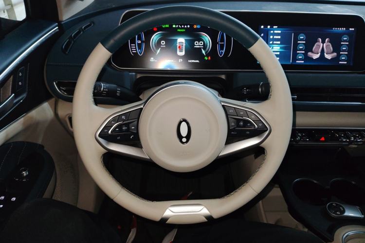 Used ORA Good Cat 2023 401 km Standard Range Prestige Version Lithium Iron Phosphate