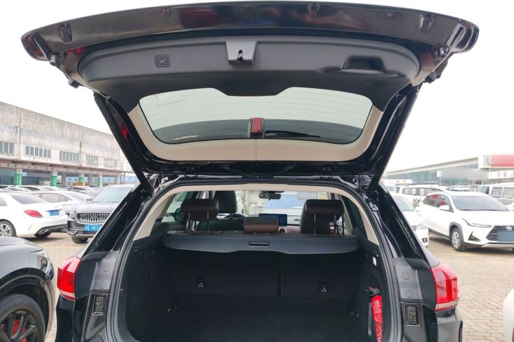 Used Wey VV6 2020 2.0T Two-Wheel Drive Smart Protection+
