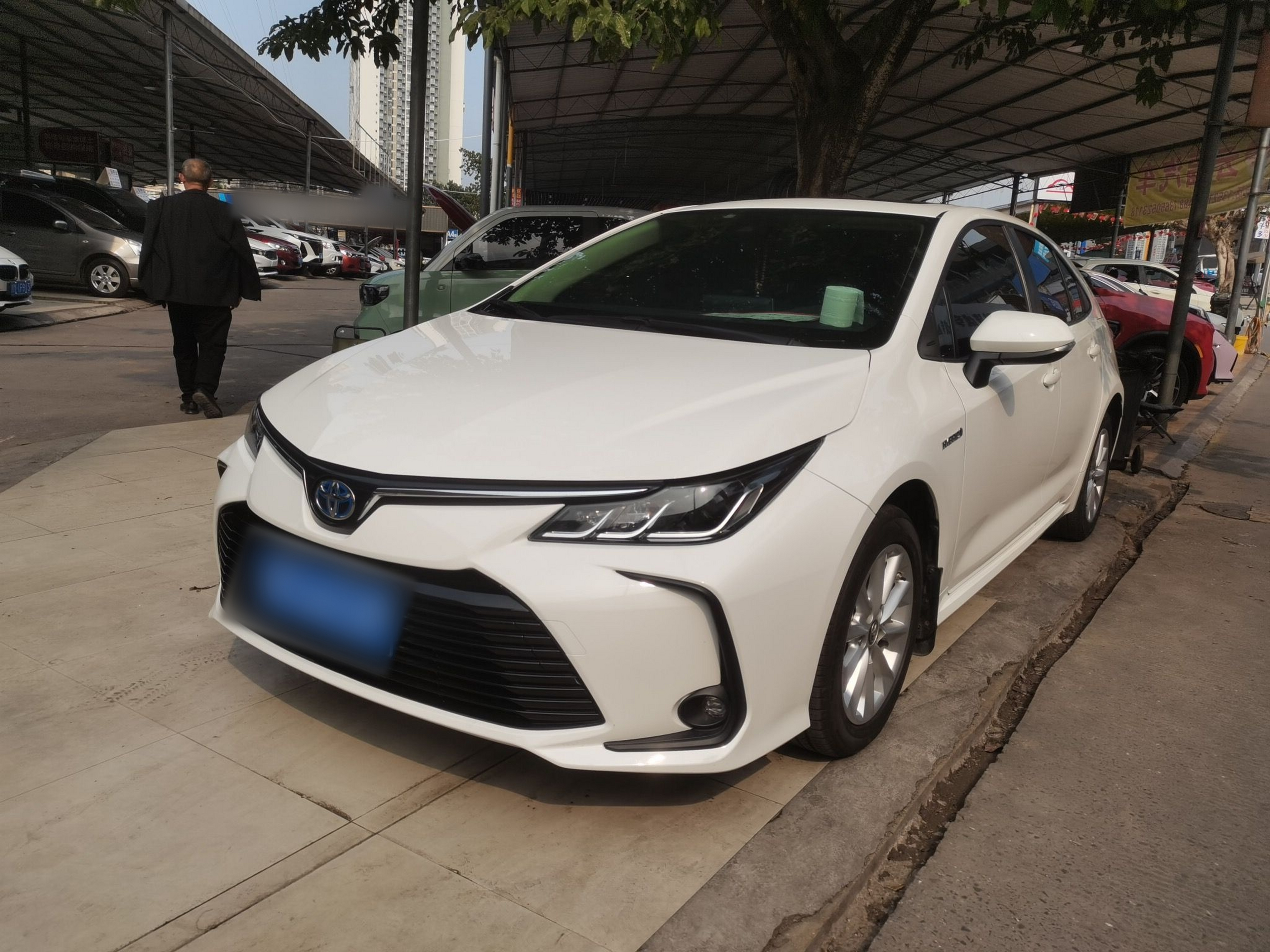 تحت مقدمة السيارة