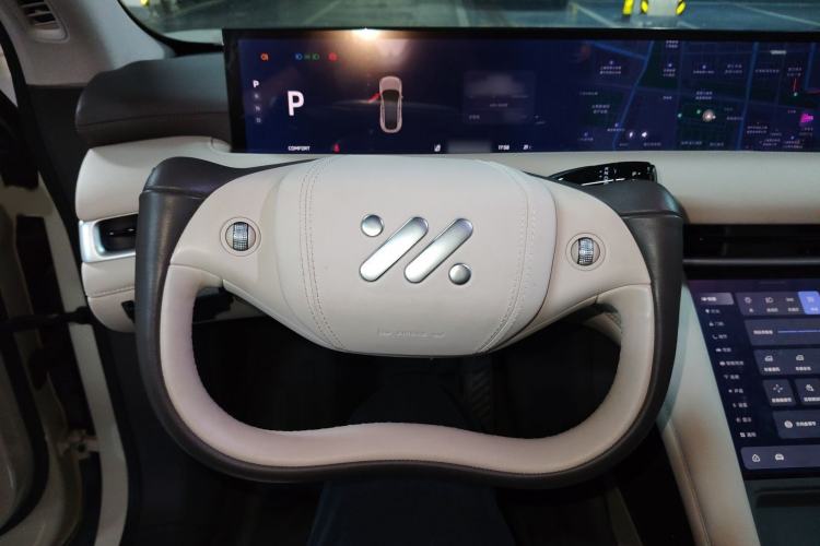 Used  LS6 2023 Max Long-Range Version
