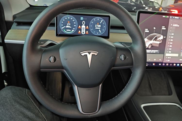 Used Tesla Model Y 2021 Standard Range Rear-Wheel Drive Version
