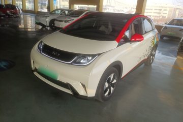 Used BYD Dolphin 2025 420km Free Edition